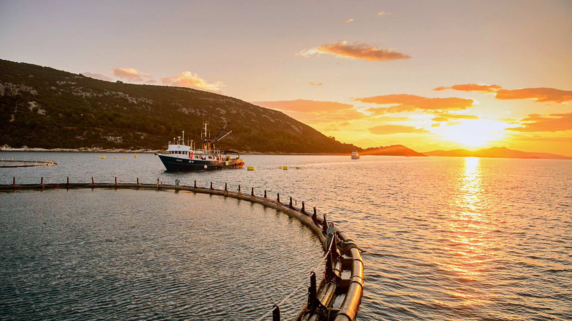 Tuna farm at sunset with vessel